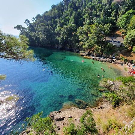 Casa Alexandra Lägenhet Rapallo Exteriör bild