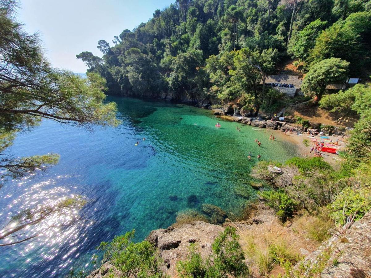 Casa Alexandra Lägenhet Rapallo Exteriör bild